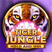 Đội ngũ chuyên gia 77WIN9 đang làm việc trong môi trường hiện đại
